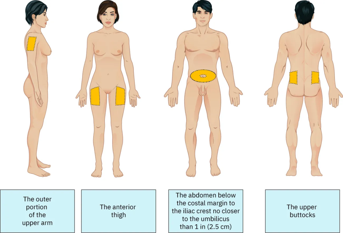 Healthcare chart displaying GLP-1 weight loss injection dosing schedule progression